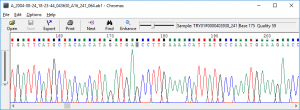 trace file dna sequencing 4peaks