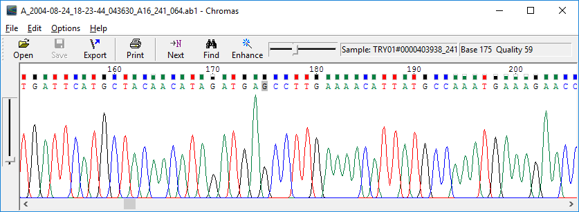 Simple Video Trimming Software